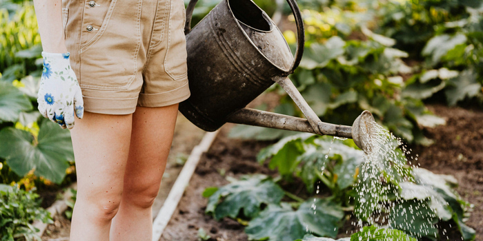 Photo of woman watering and testing the local soil