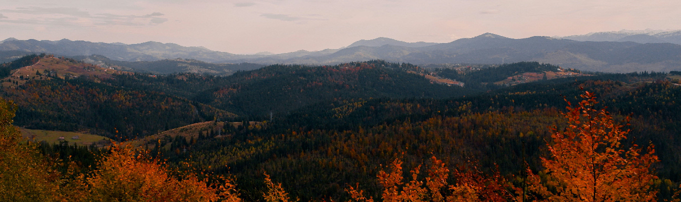 photo of Macon county's vibrant landscape